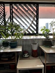 Blk 163 Bishan Street 13 (Bishan), HDB 5 Rooms #461028301